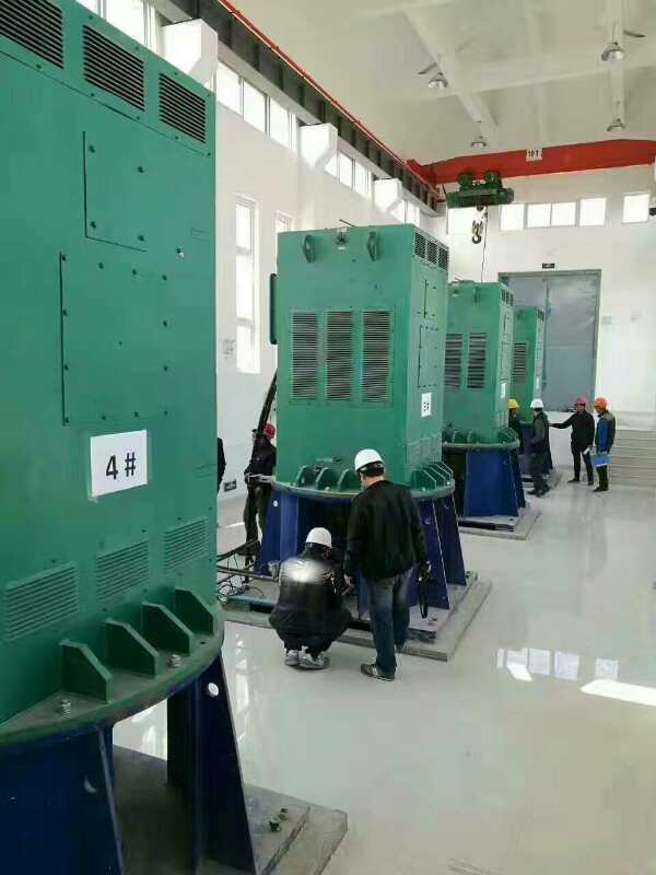 额济纳某污水处理厂使用我厂的立式高压电机安装现场