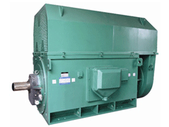 额济纳Y系列6KV高压电机
